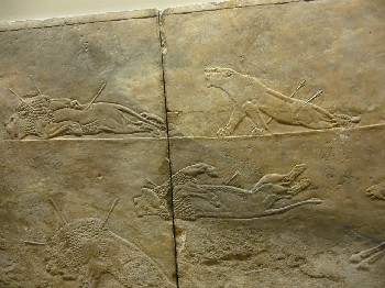 5-Museo Británico Frisos Asirios