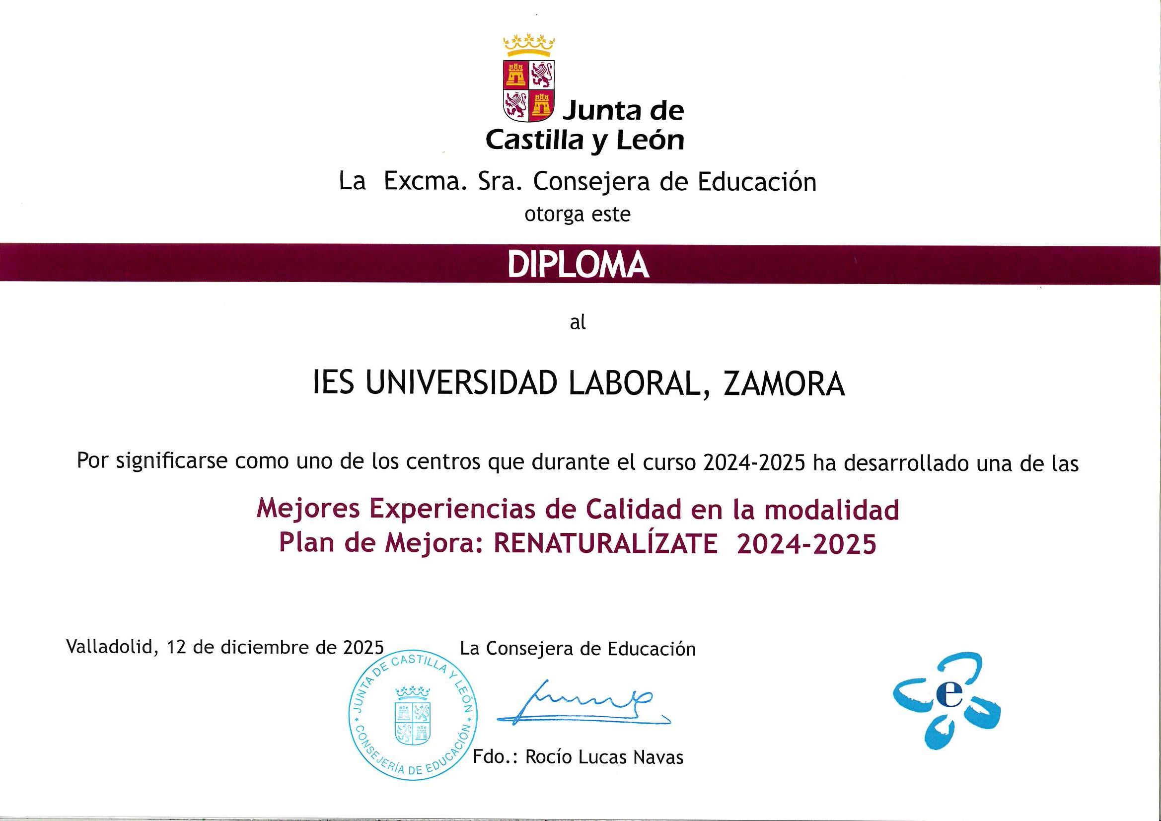 Diploma plan de mejora horizontal 